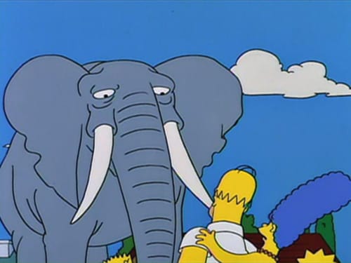 Bart gana un elefante