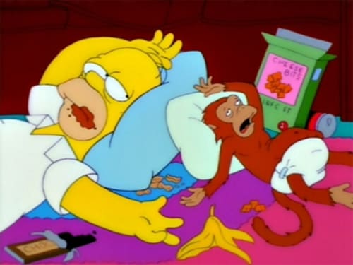 Lisa comentarista