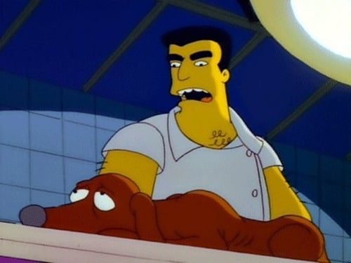 Nuestro Mejor Amigo