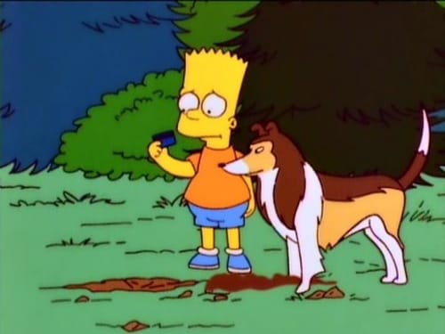Motín canino